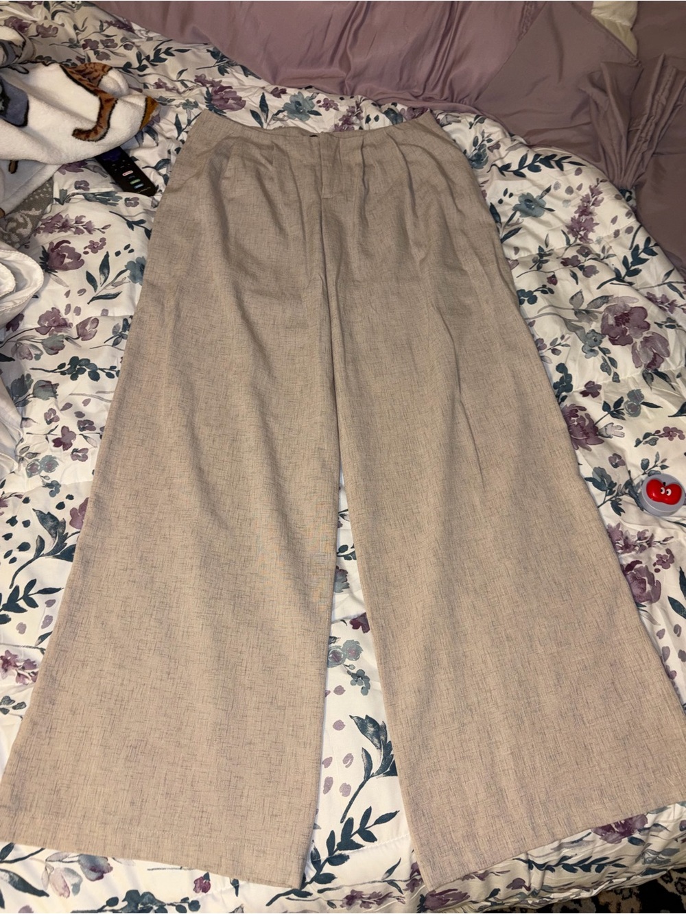 wild fable Beige Wide-Leg Pleated Pants